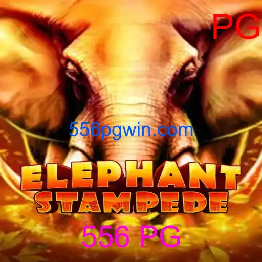Como ganhar no Fortune Rabbit em 556 PG com Saque via PIX 2026